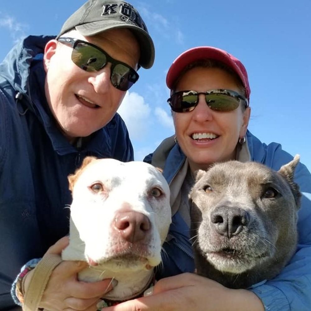 Meet your Posher, Robin